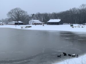 Winter 2025 – 2026 Farm Update